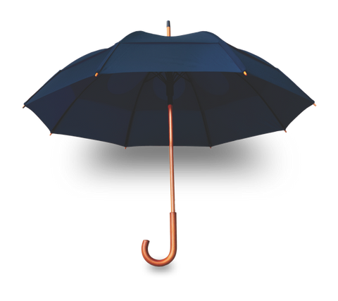 Best classic umbrella shop